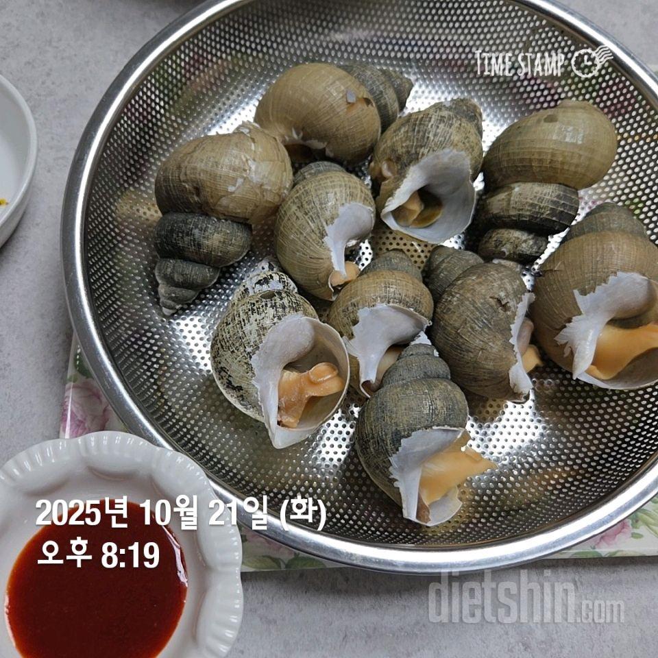 61일차