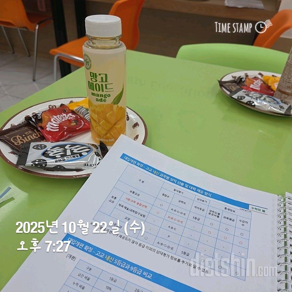 347일차