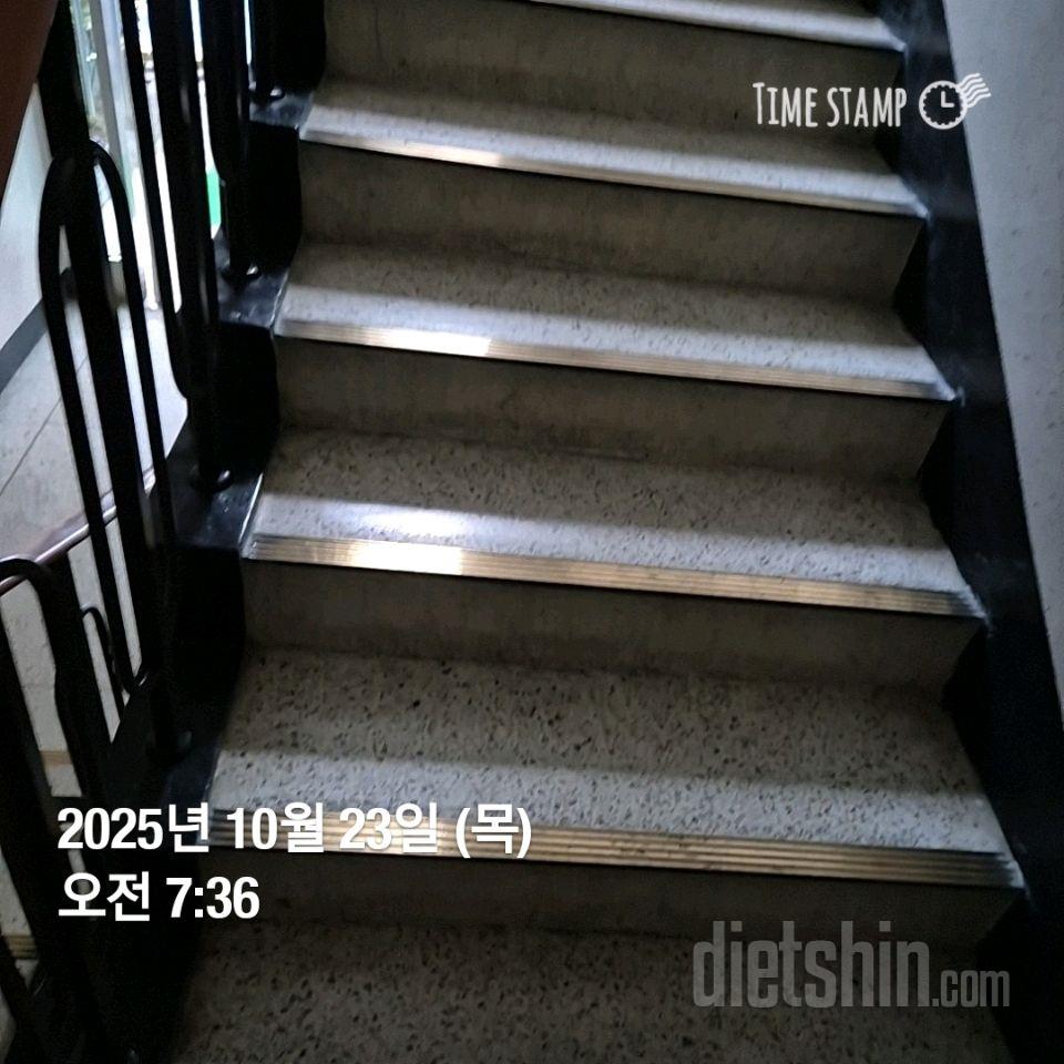 15일 계단 오르기259일차 성공!