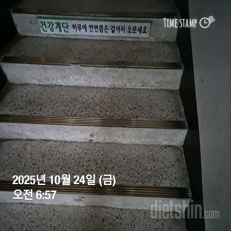 15일 계단 오르기260일차 성공!