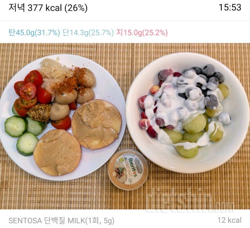 2608일차 식단