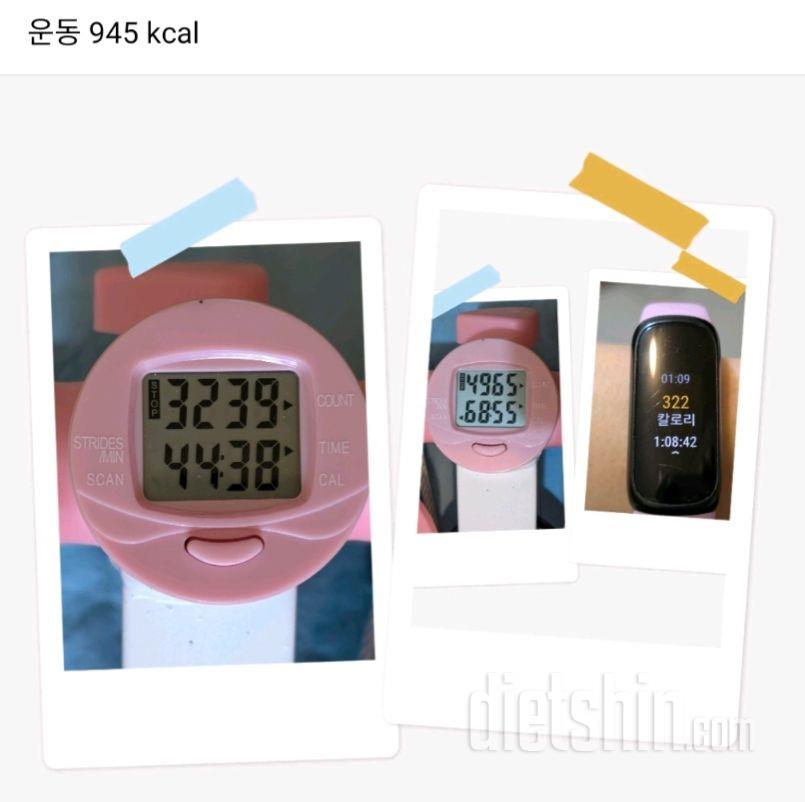 2608일차 식단