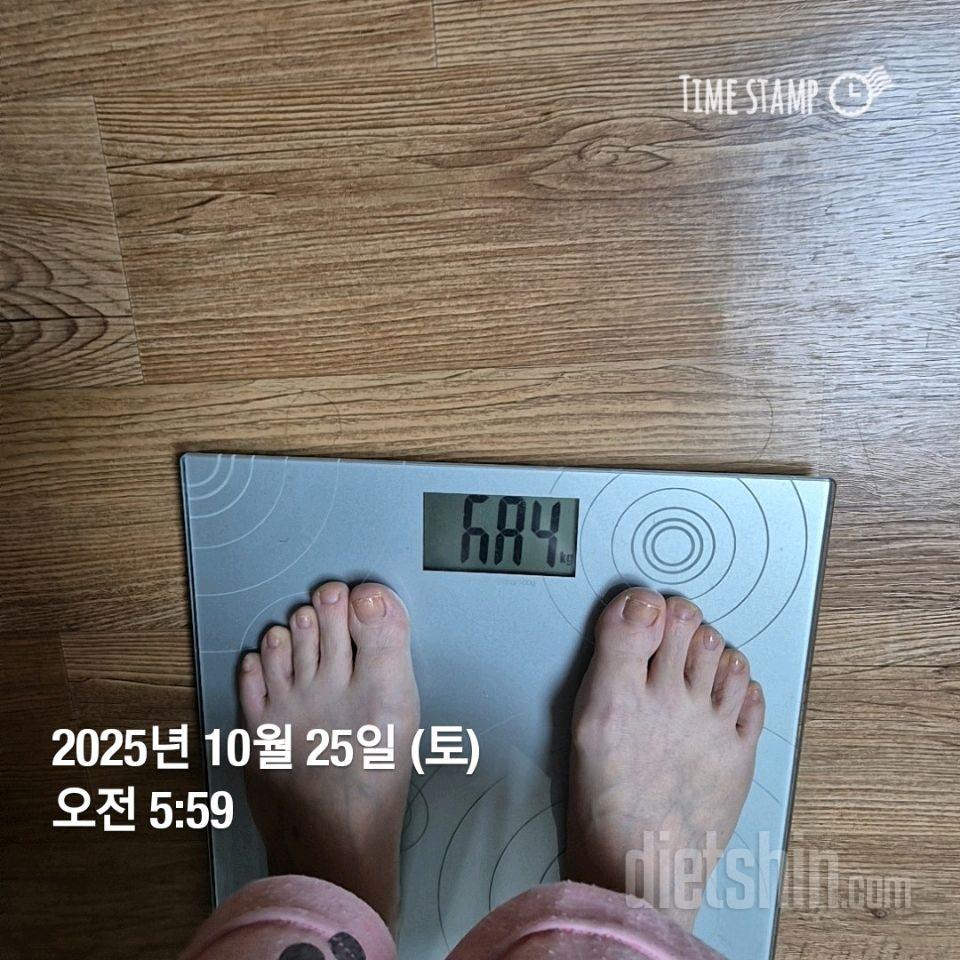 7일 아침 몸무게 재기517일차 성공!