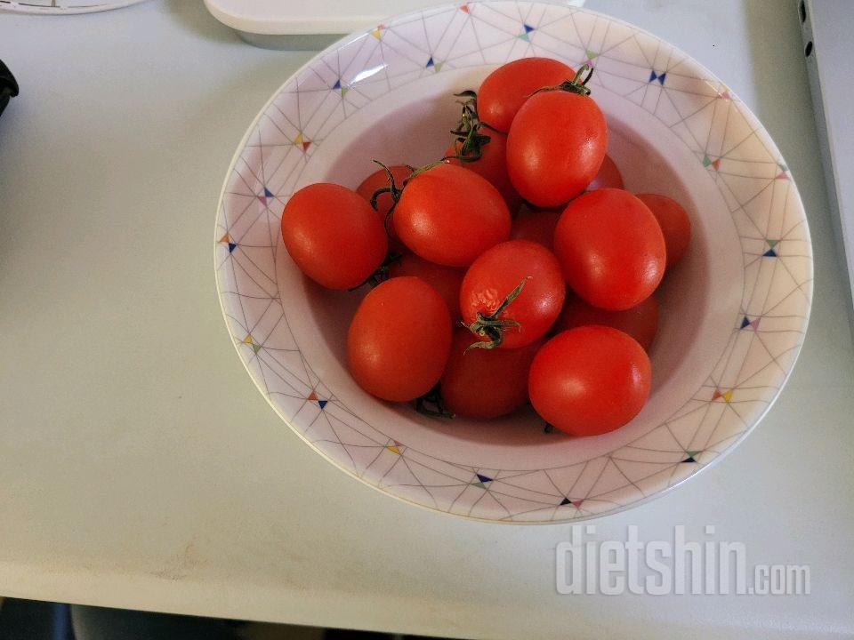 25년 10/19~25일 다이어트 일기