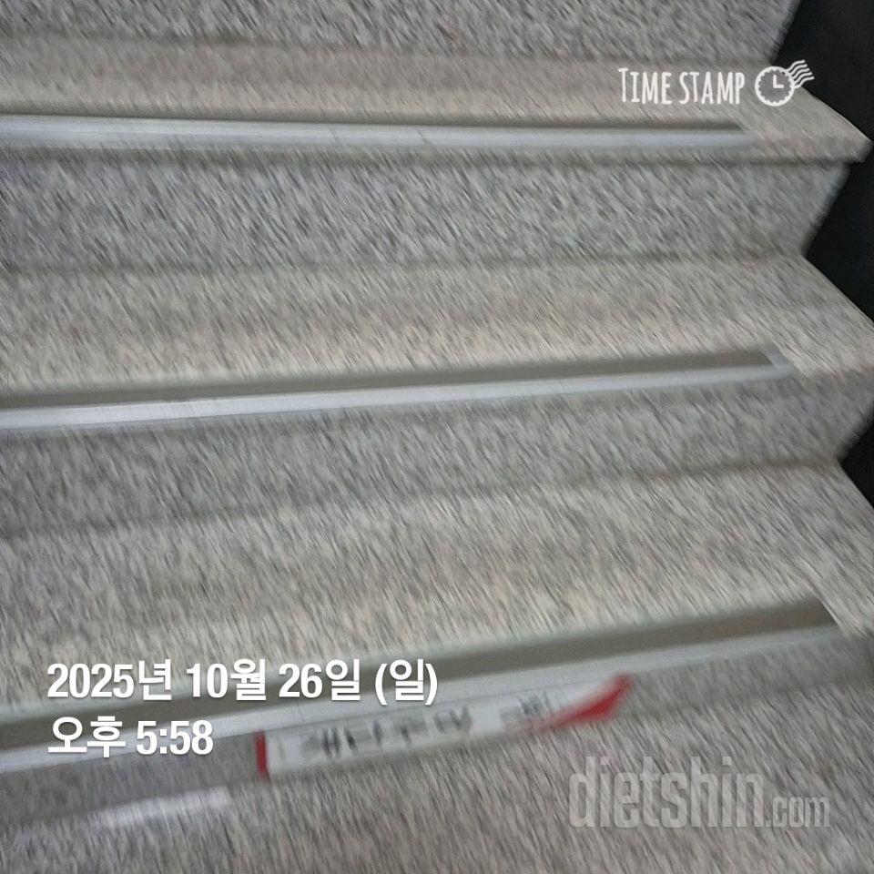 15일 계단 오르기262일차 성공!