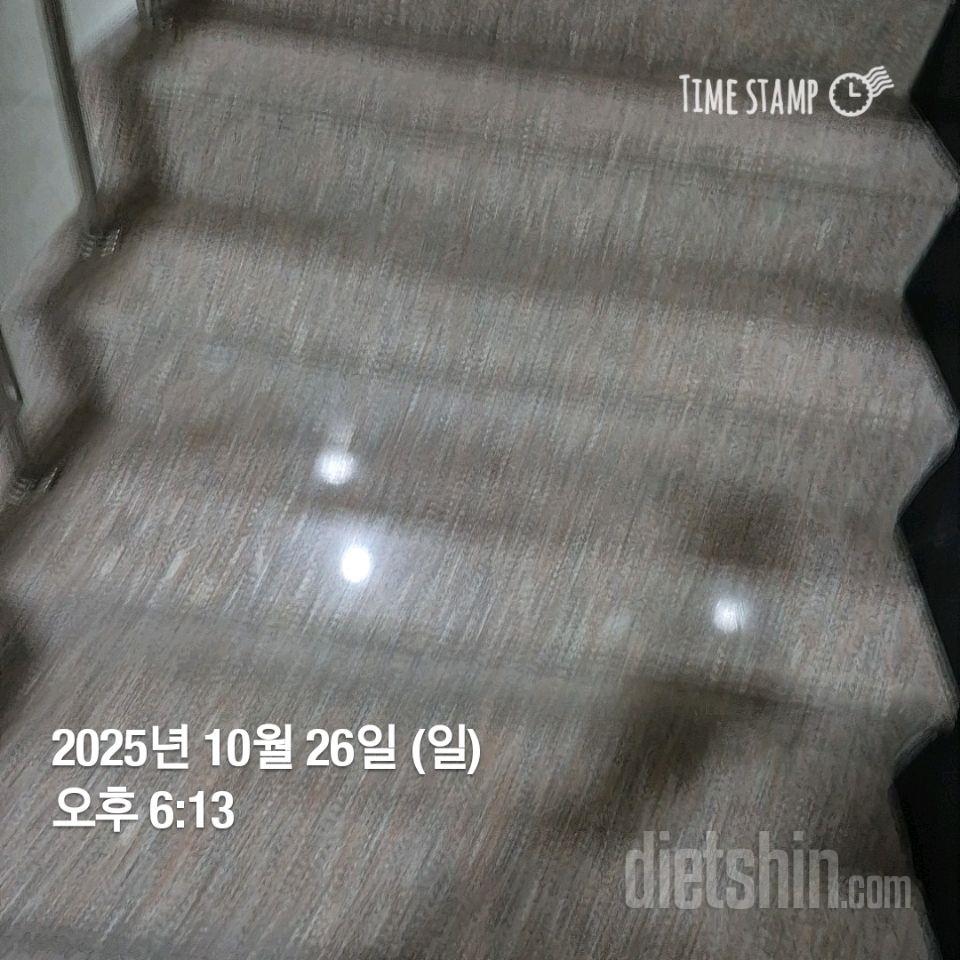 15일 계단 오르기262일차 성공!