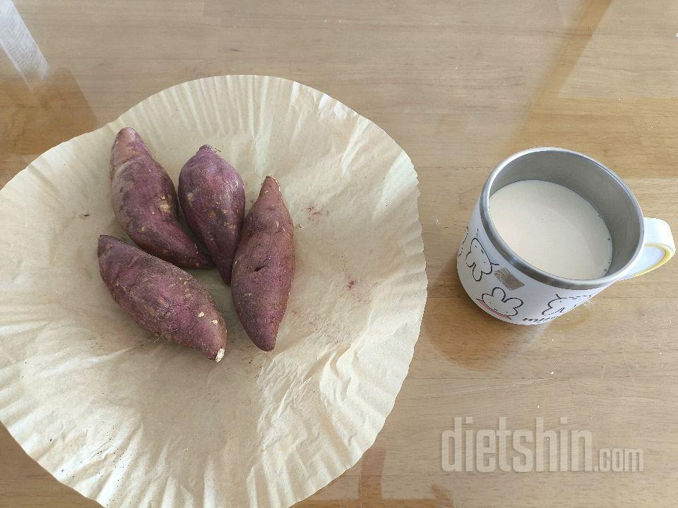 11월14일(스위치온3주7일)