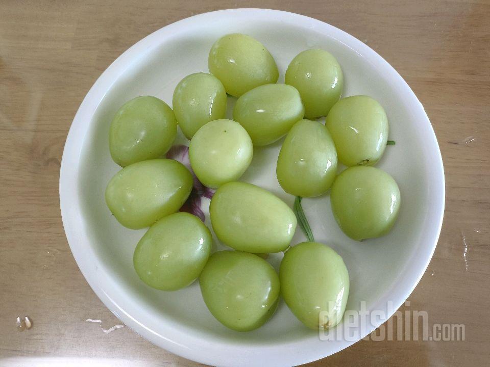 11월15일(스위치온3주7일)