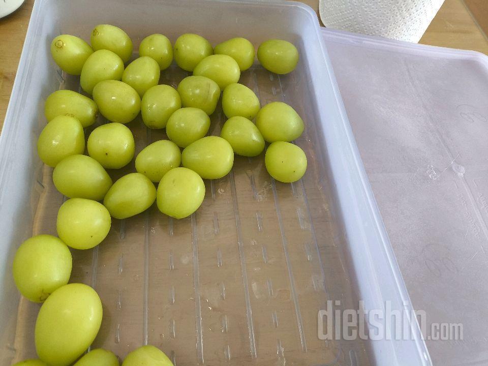 11월15일(스위치온3주7일)