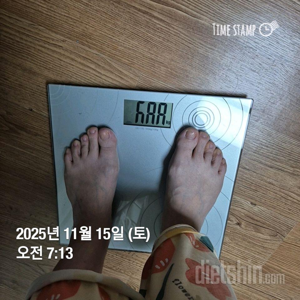 7일 아침 몸무게 재기3일차 성공!