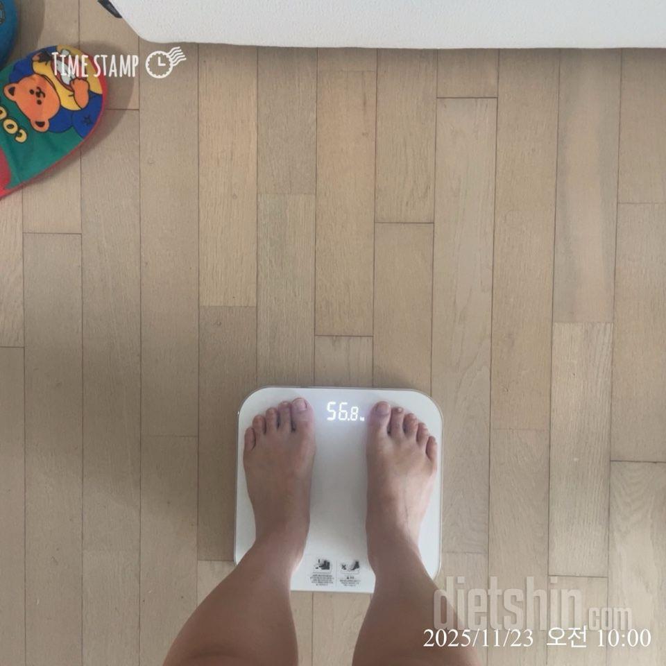 7일 아침 몸무게 재기86일차 성공!