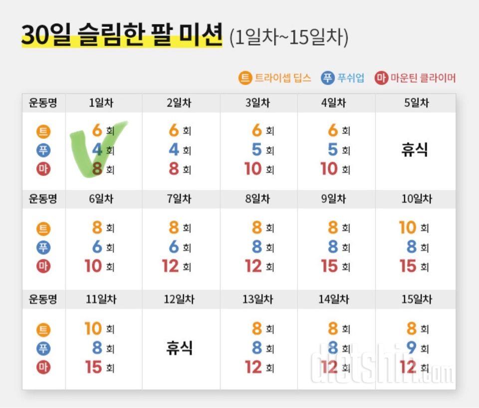 30일 슬림한 팔 1일차 성공!