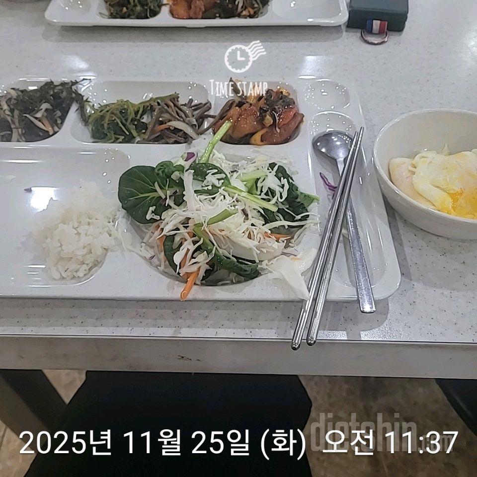 7일 하루 1끼 야채먹기757일차 성공!