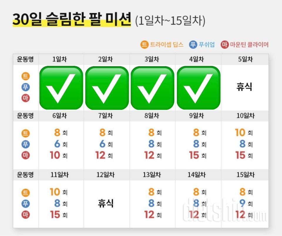 30일 슬림한 팔4일차 성공!