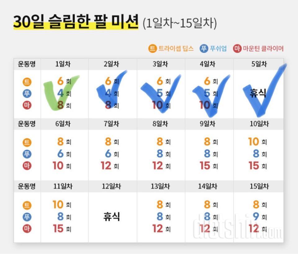 30일 슬림한 팔5일차 성공!