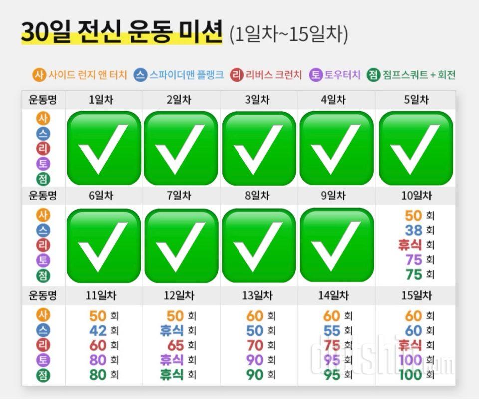30일 전신운동9일차 성공!