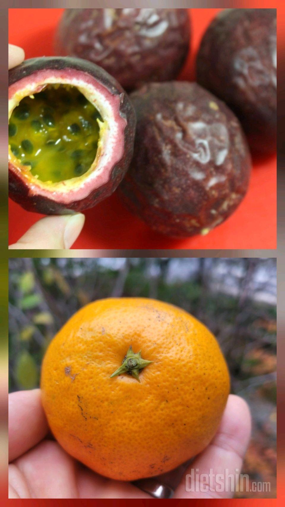 15일 3끼 식단 챌린지20일차 성공!