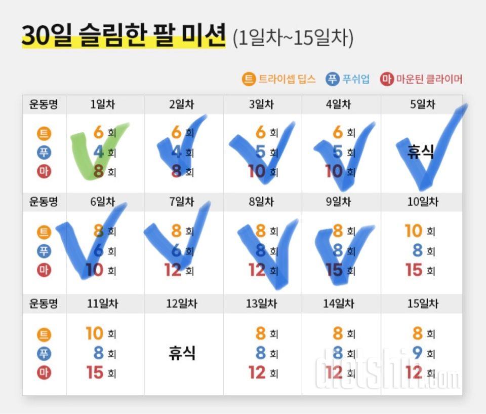 30일 슬림한 팔9일차 성공!