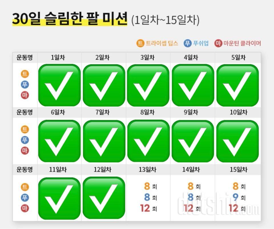 30일 슬림한 팔12일차 성공!