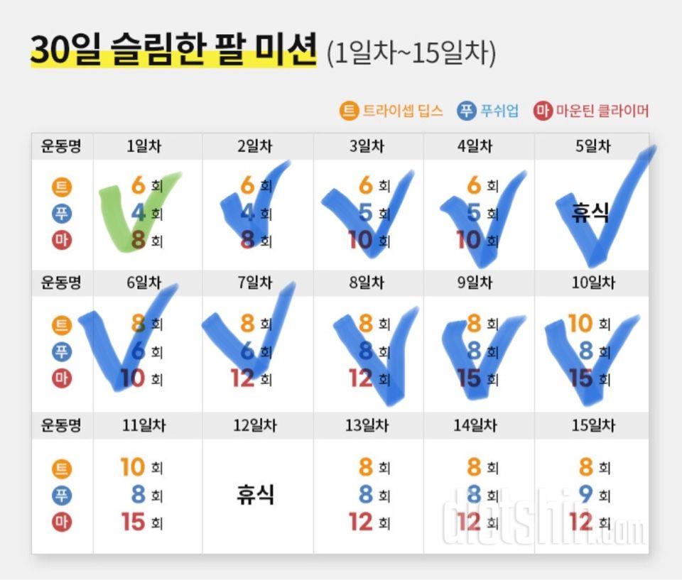 30일 슬림한 팔10일차 성공!