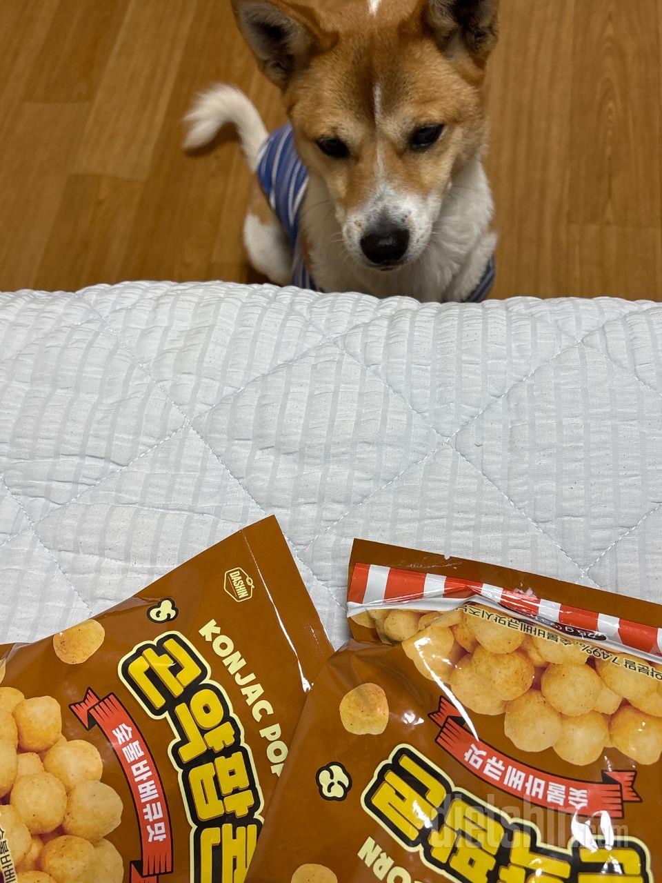 전 정말 과자를 달고 사는 사람이였어