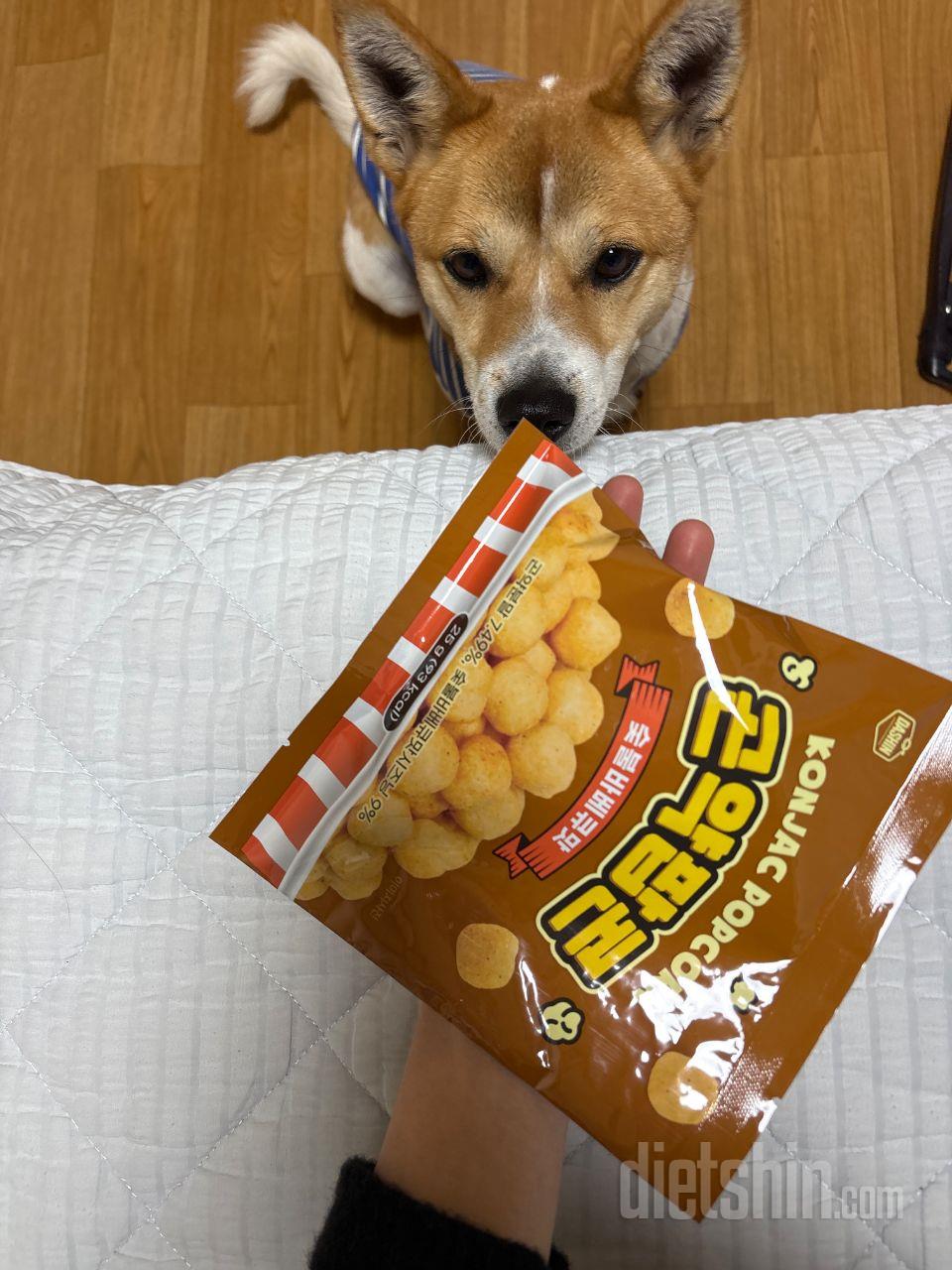 전 정말 과자를 달고 사는 사람이였어