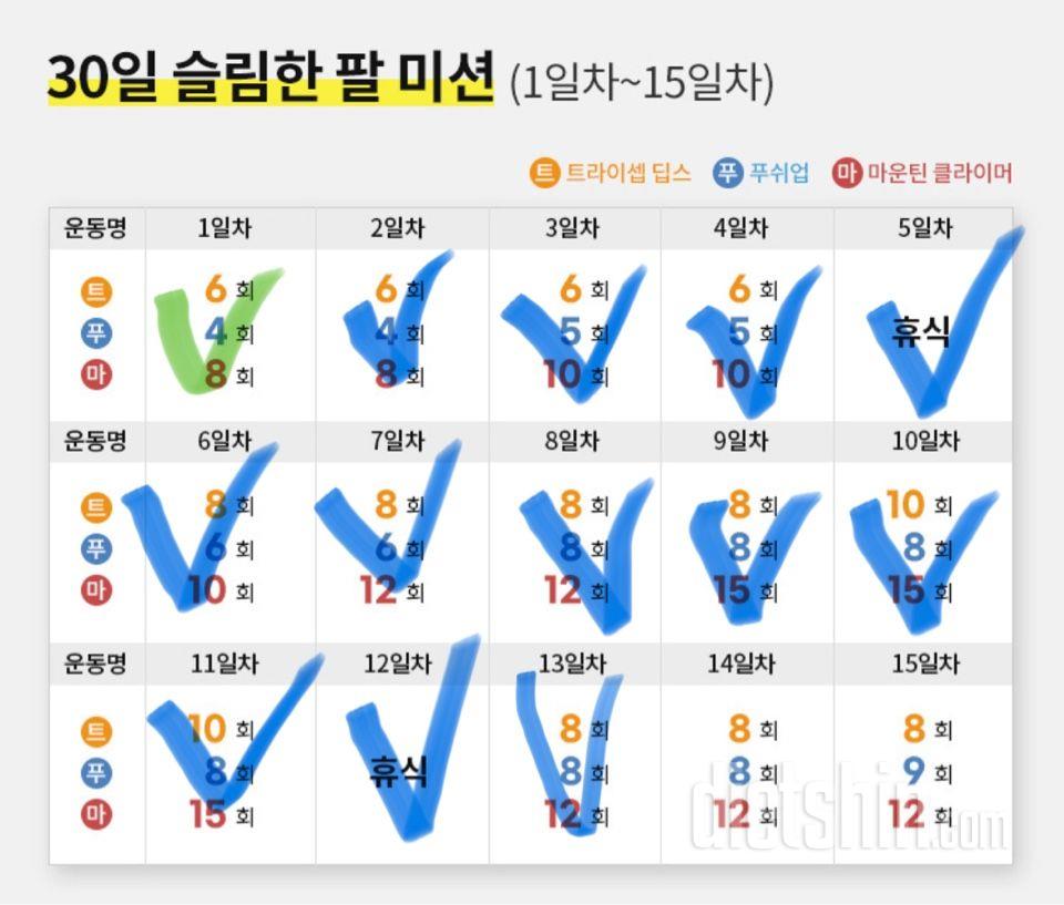 30일 슬림한 팔13일차 성공!