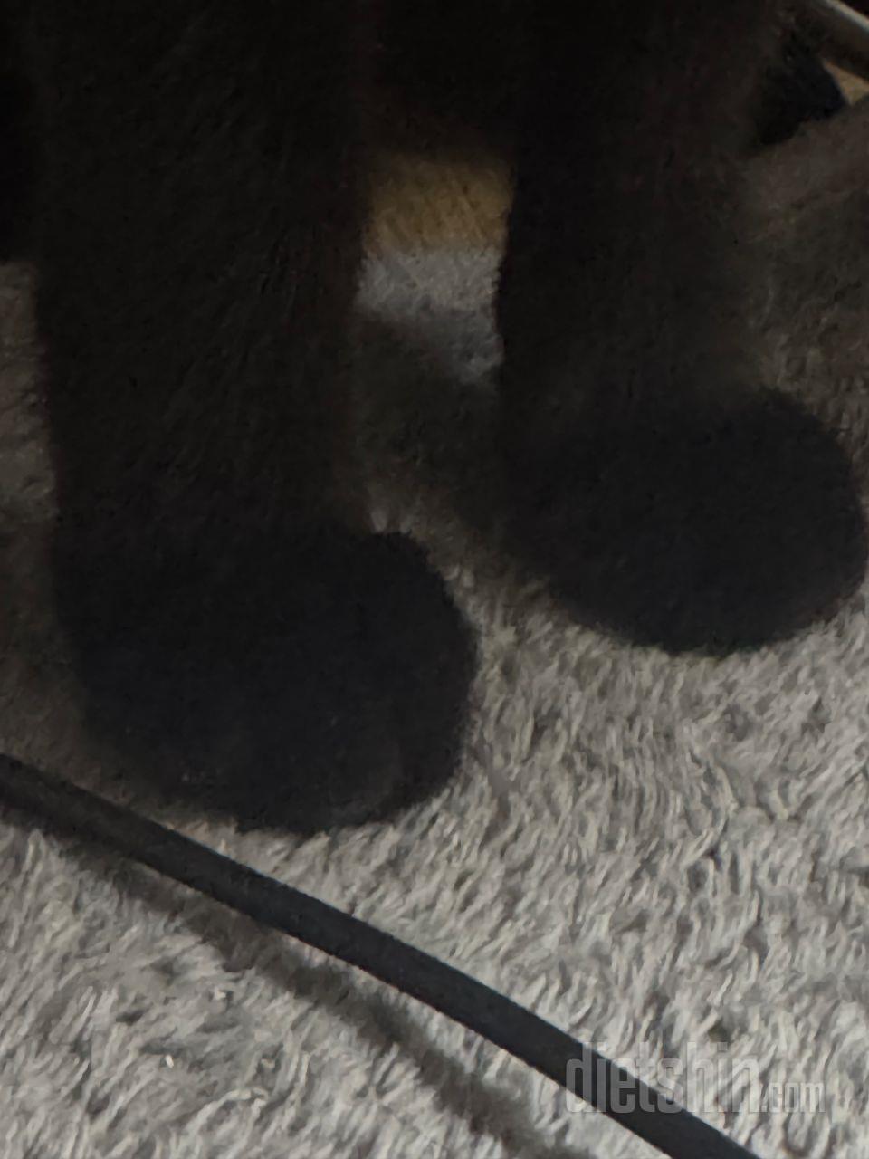 진짜 맛있어요 치즈맛 제 최애 ㅎㅎㅎ