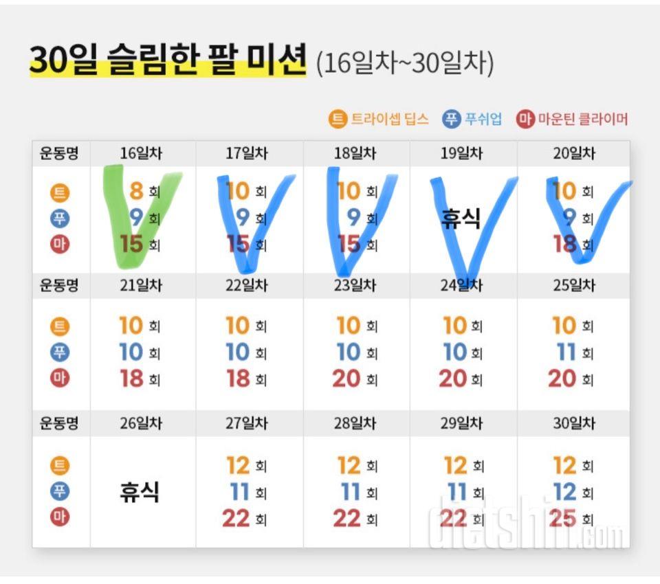 30일 슬림한 팔20일차 성공!