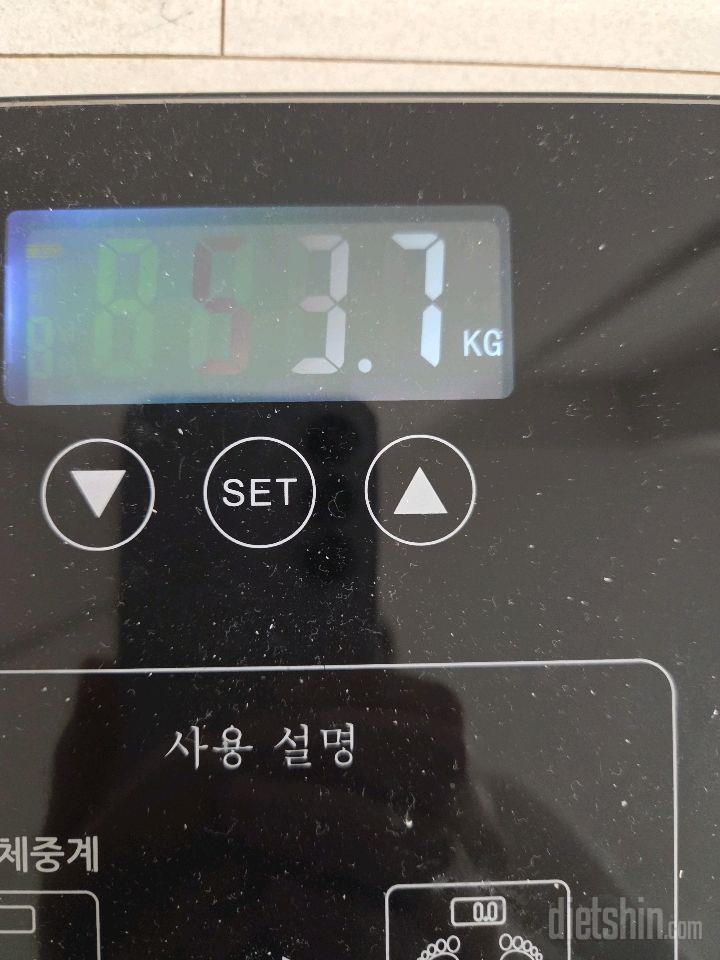 7일 아침 몸무게 재기176일차 성공!