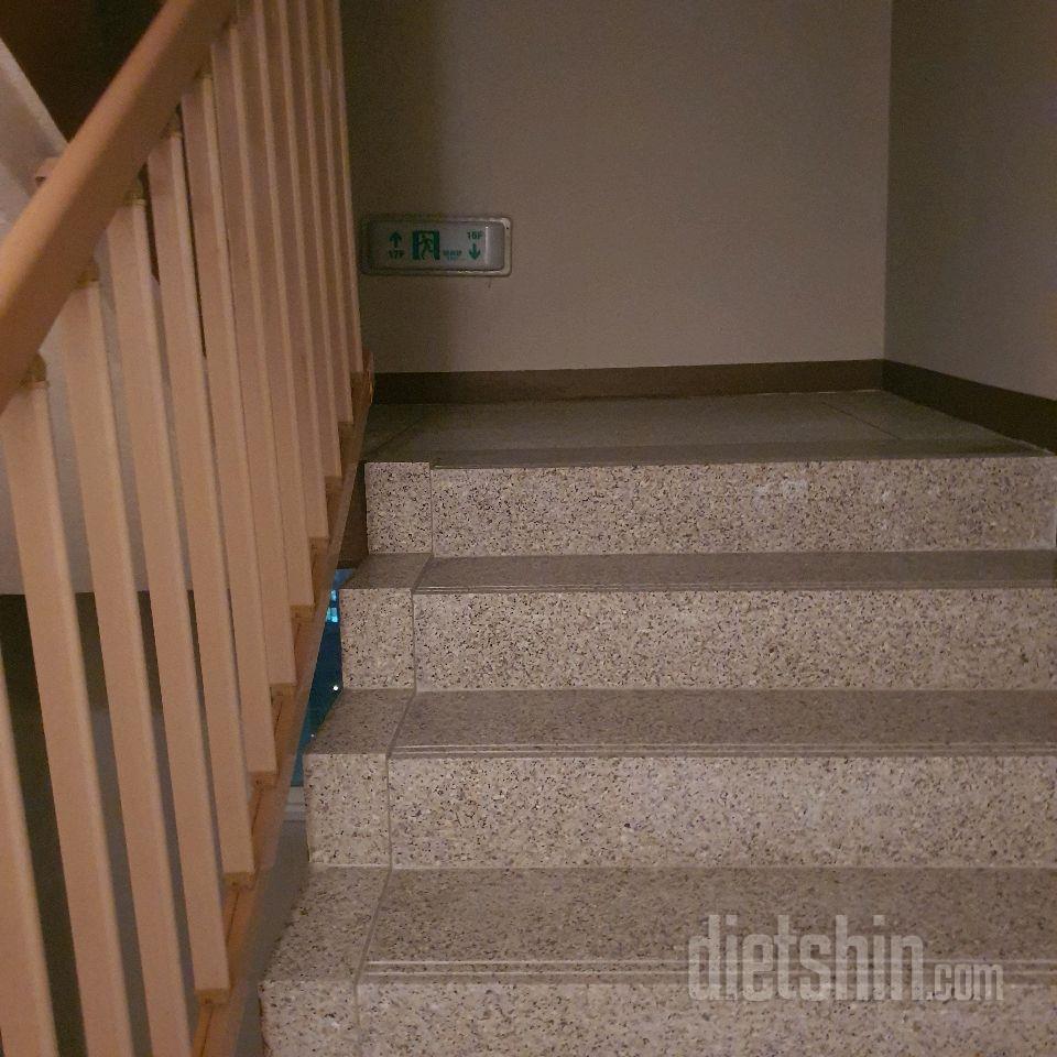 15일 계단 오르기 1일차 성공!