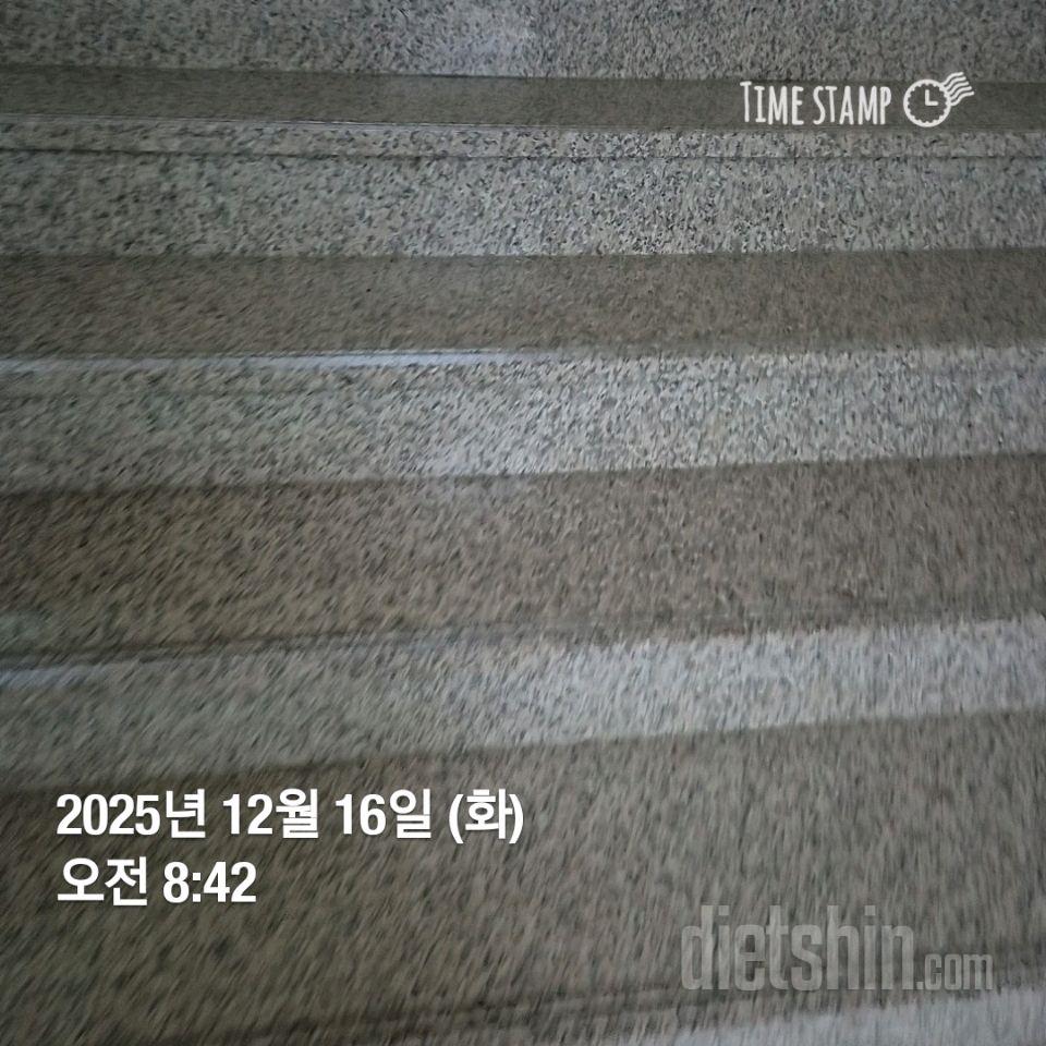 15일 계단 오르기23일차 성공!