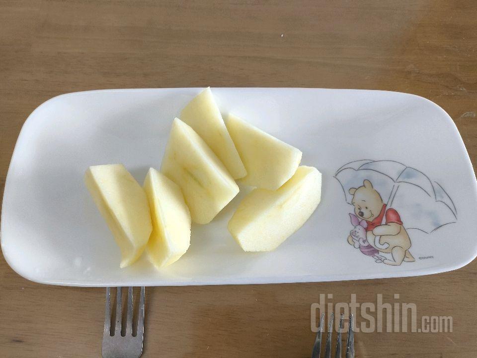 12월19일(스위치온3주7일)