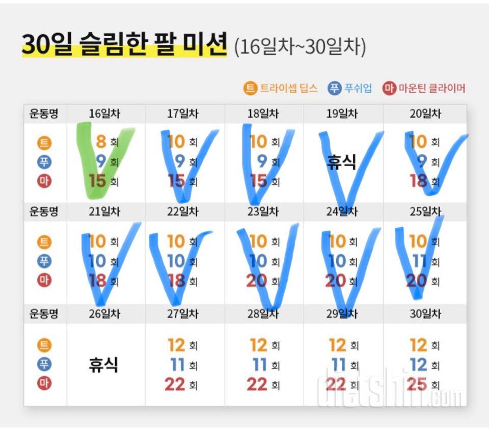 30일 슬림한 팔25일차 성공!