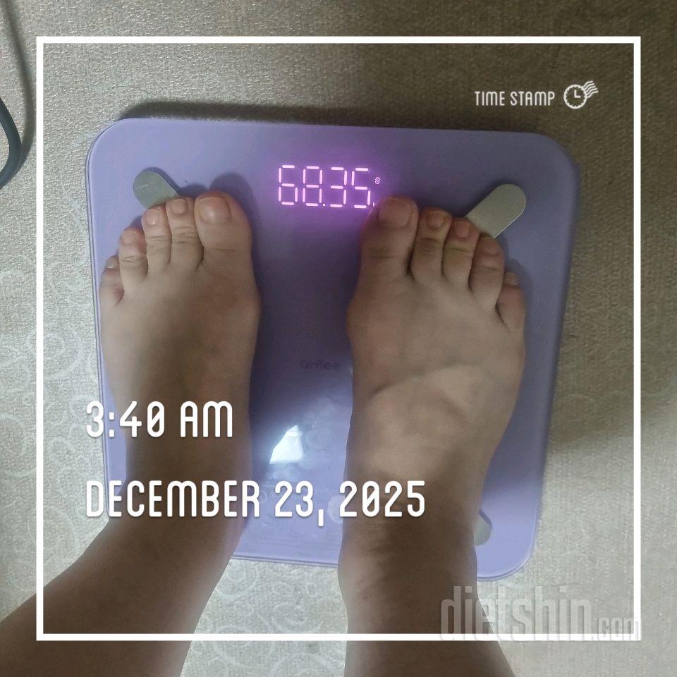 12월 23일 화요일