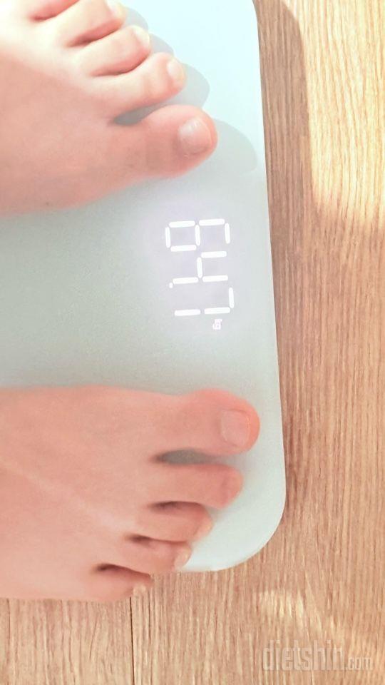 7일 아침 몸무게 재기51일차 성공!