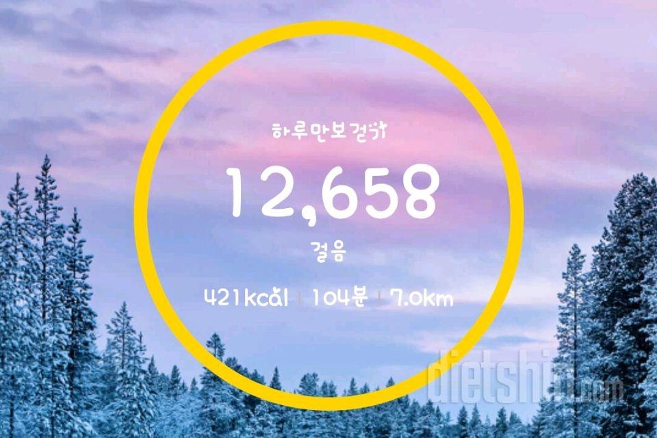 30일 만보 걷기33일차 성공!