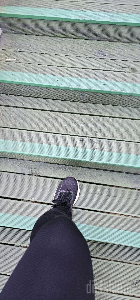 15일 계단 오르기 1일차 성공!