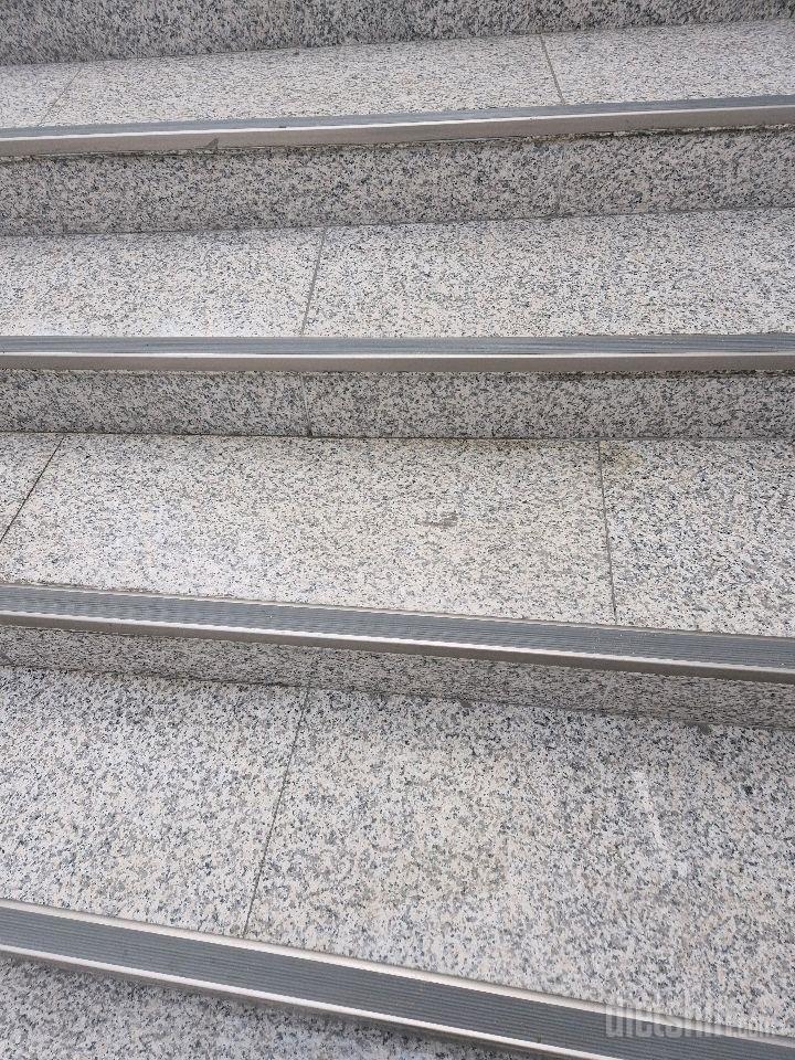 15일 계단 오르기36일차 성공!