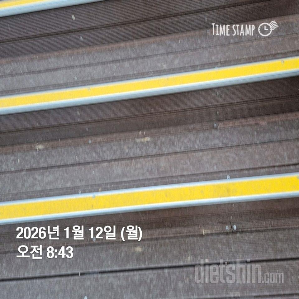 15일 계단 오르기37일차 성공!