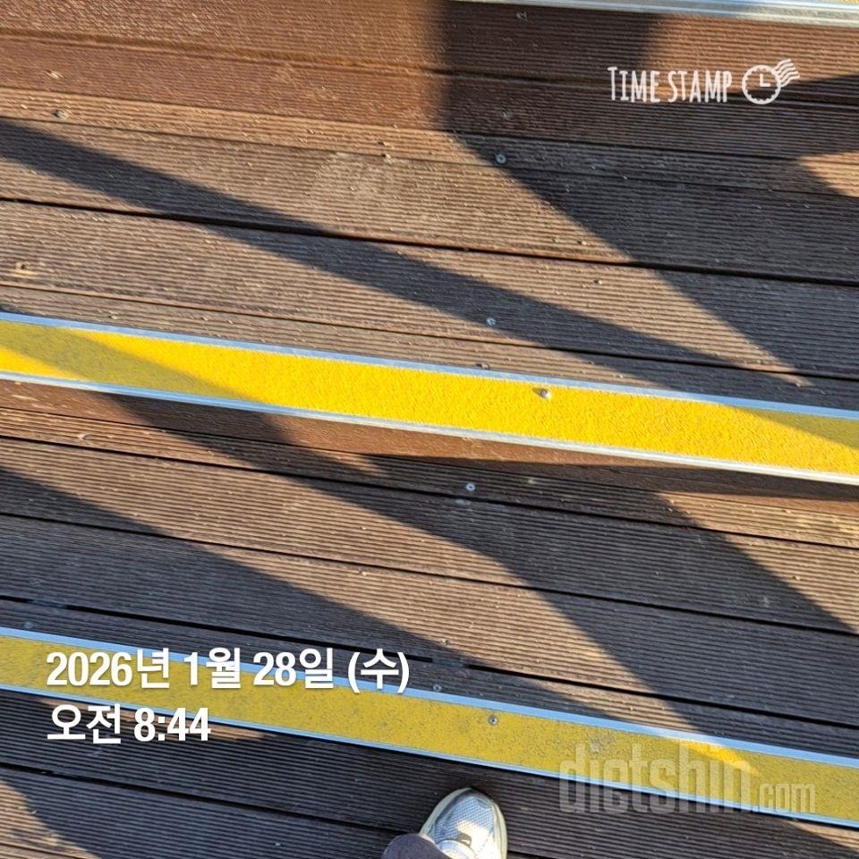 15일 계단 오르기53일차 성공!