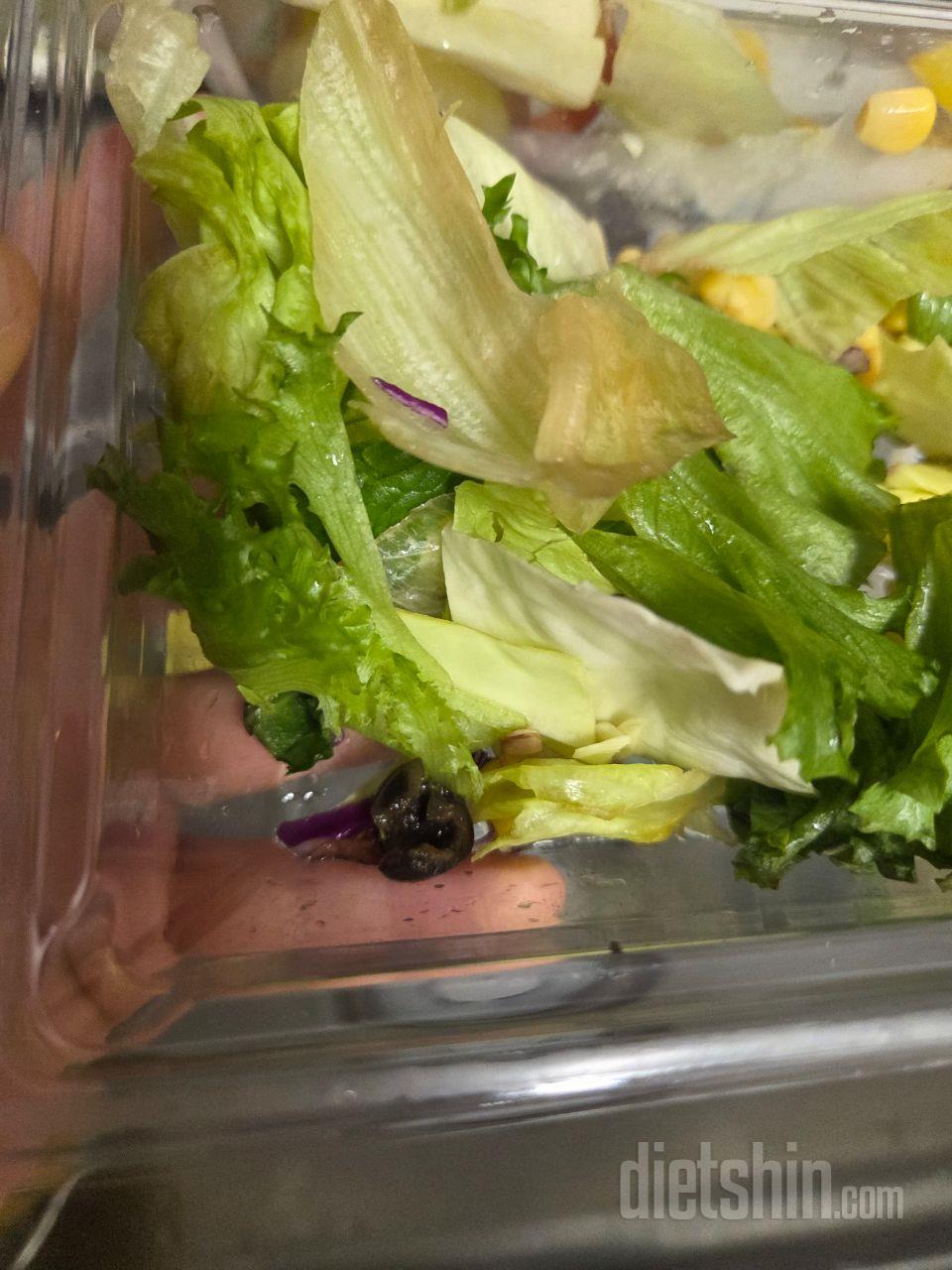 7일팩 상품을 주문 했습니다 매일 1