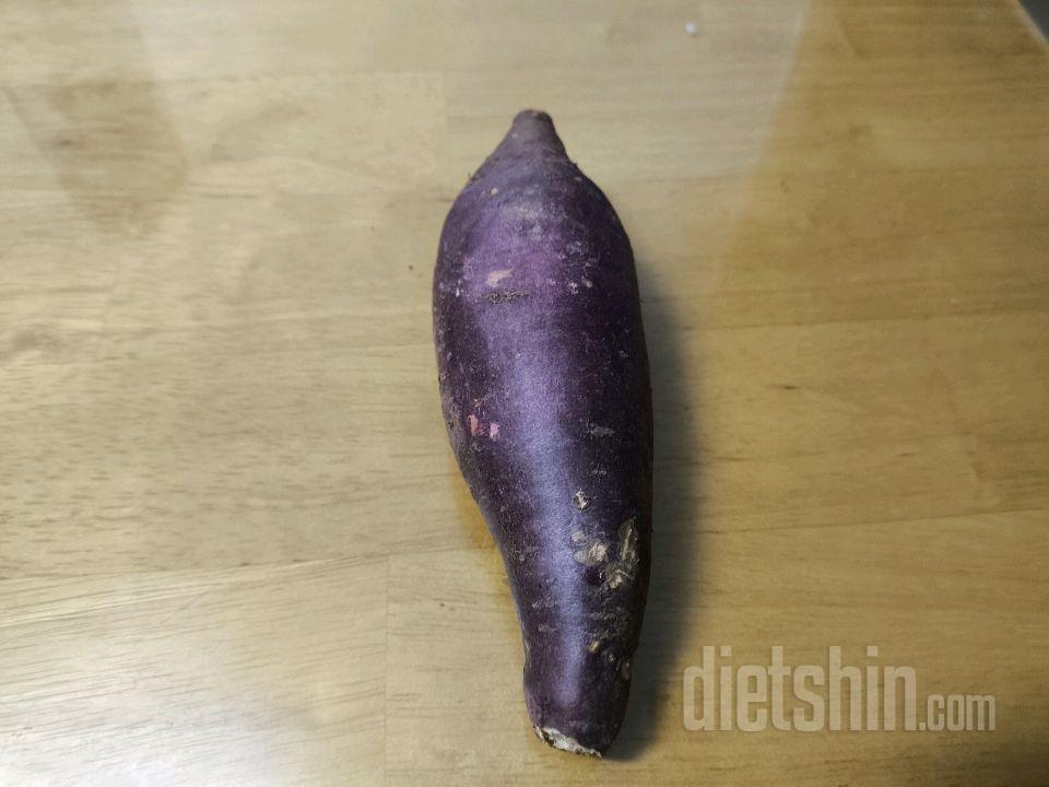 2월5일(스위치온3주7일)