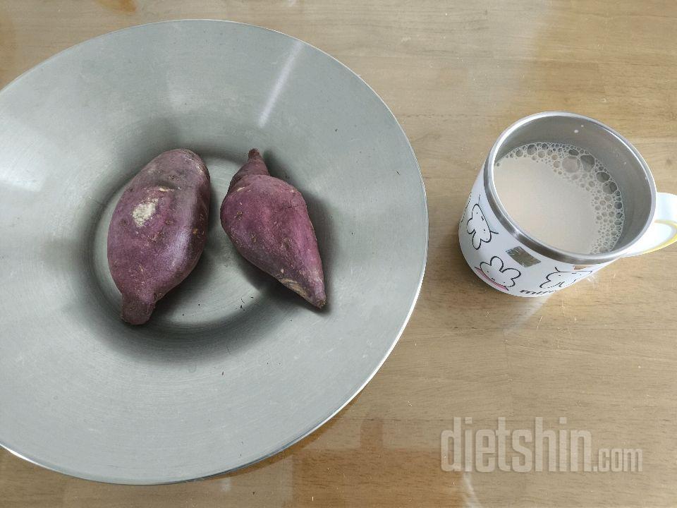 2월5일(스위치온3주7일)