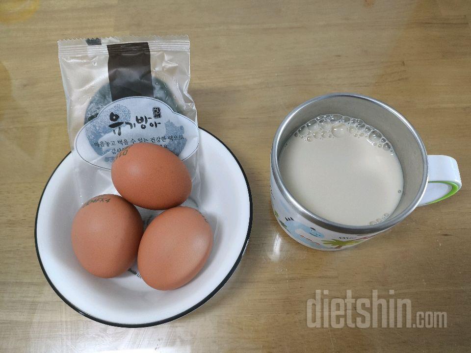 2월11일(스위치온3주7일)