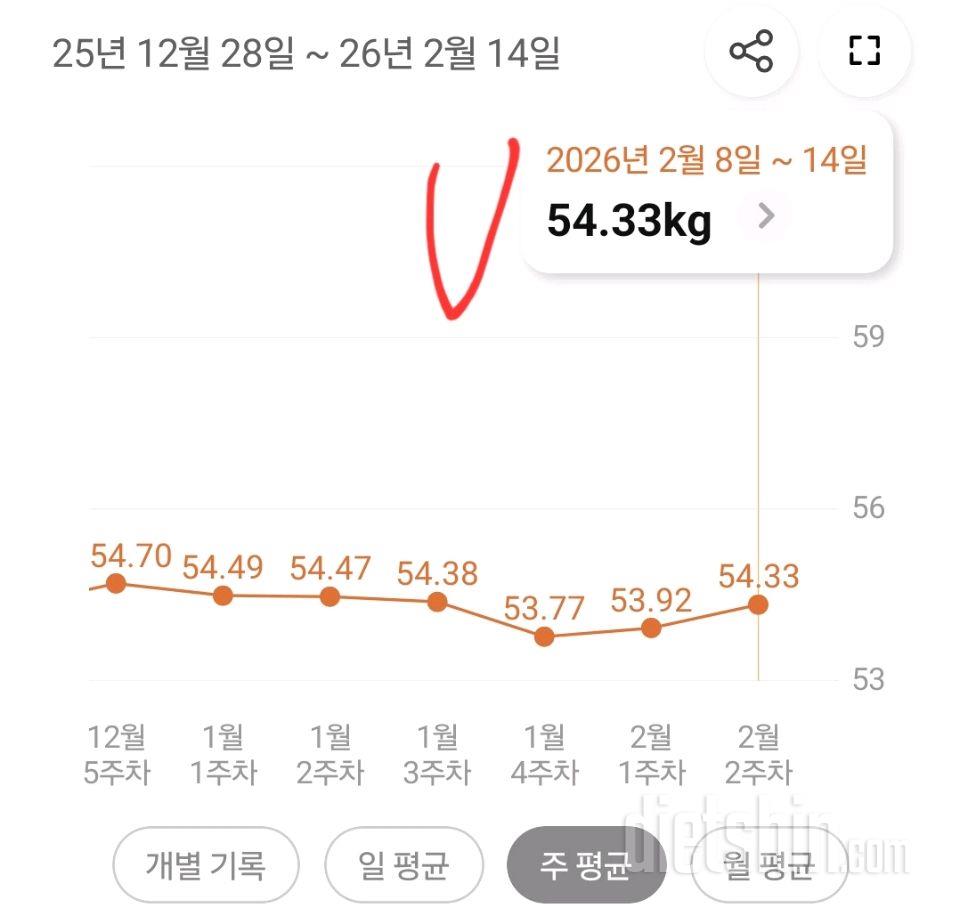 2월 14일 토요일 공체