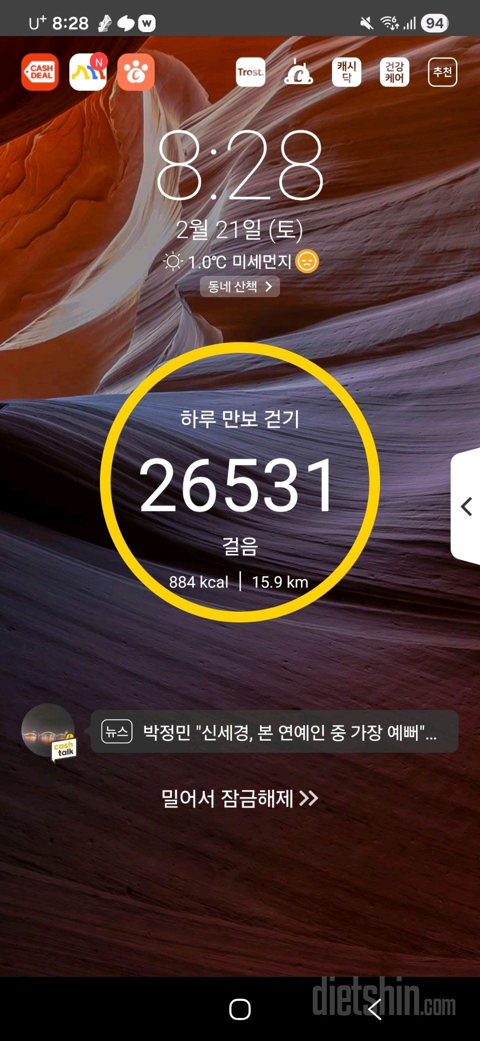 30일 만보 걷기250일차 성공!
