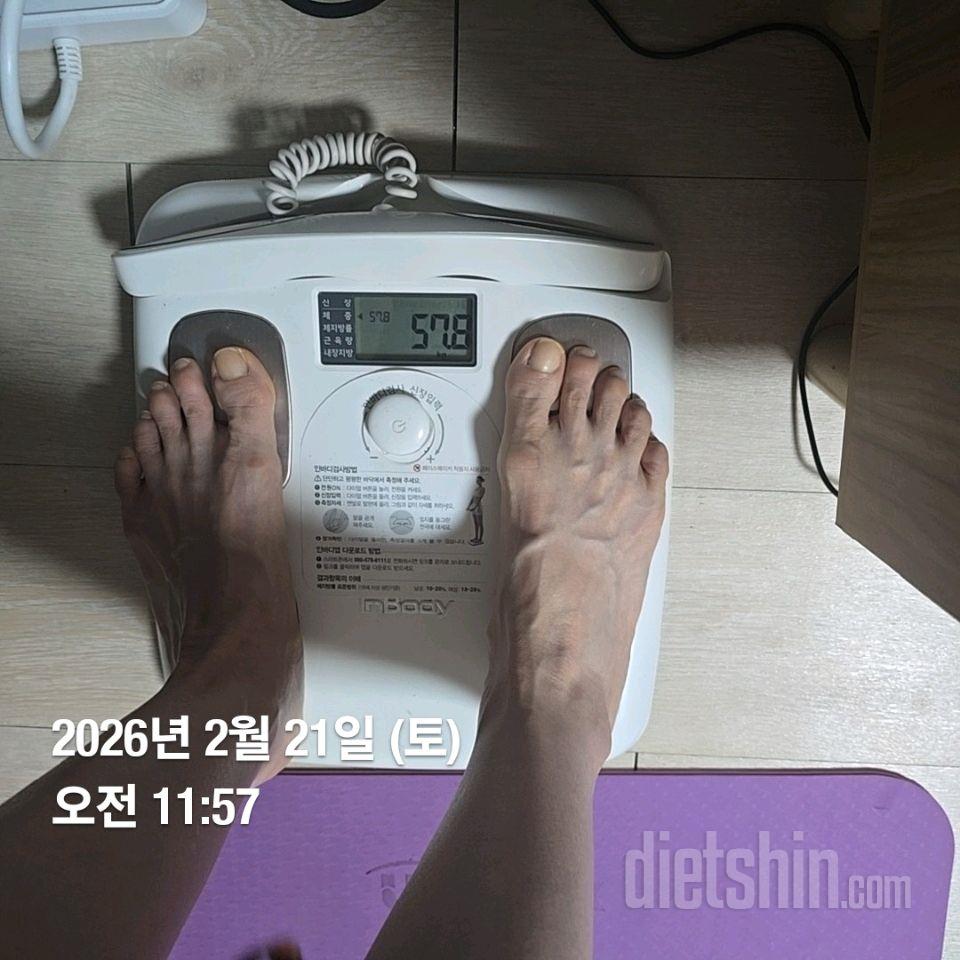 7일 아침 몸무게 재기169일차 성공!