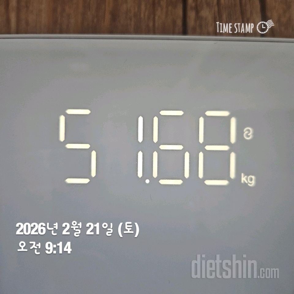 7일 아침 몸무게 재기84일차 성공!