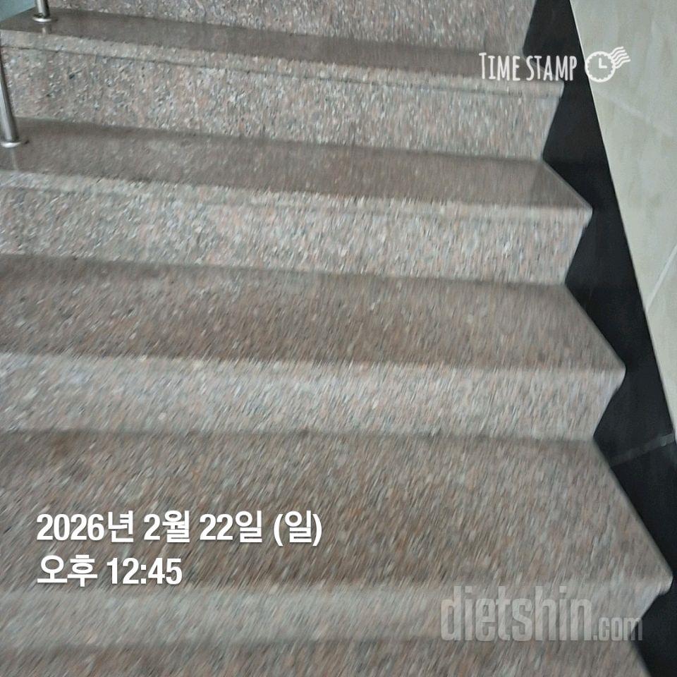 15일 계단 오르기47일차 성공!